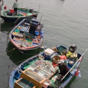 Scene de retour de peche en Chine, port de Sai Kung a Hong-Kong. Vente a la criee. Retour des bateaux. Vente des poissons. Matin brumeux. Peche traditionnelle. 
Dans le bateau, poissons vivants frais. Pecheur.