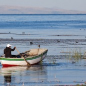 Titicaca