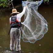 Guyane peche a l'epervier. Un pecheur lance le filet dans une crique riviere de Guyane.
