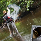 Guyane peche a l'epervier. Un pecheur lance le filet dans une crique riviere de Guyane. Canoe au premier plan.