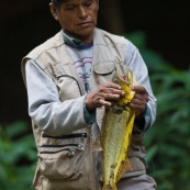 Pecheur avec un poisson.