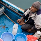 Scene de retour de peche en Chine, port de Sai Kung a Hong-Kong. Vente a la criee. Retour des bateaux. Vente des poissons. Matin brumeux. Peche traditionnelle. 
Dans le bateau, poissons vivants frais. Pecheur.