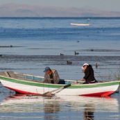 Lac  Titicaca,  barque de peche sur le lac avec pecheur. Pérou. A la rame. Peche traditionnelle. Femme et homme.  Perou.