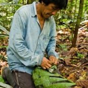Indigene Waorani en train de tisser un sac avec des feuilles de palmier. Amerindien. Artisanat. Equateur Yasuni.