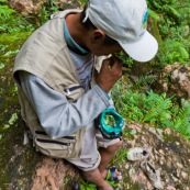 Homme en train de macher des feuilles de coca en Bolivie, dans la campagne, en forêt. Chique de coca.
