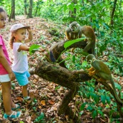 Guyane. Jeunes filles enfants avec des singes (saimiri ou singe ecureuil) sur l'ilet la mère.  Foret tropicale amazonienne. Saimiri sciureus