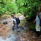 Femme et homme en train de travesrer une riviere (crique) a pied dans la foret tropicale amazonienne. Tourisme vert.
