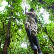 Homme en train de grimper a une liane (racines aeriennes) dans la foret tropicale amazonienne.