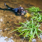 Plongeur dans une crique de Guyane. Riviere. Photographe sous-marin. Photo sous-marine. Reflex avec caisson. Riviere Tonnegrande. Observation sous l'eau. Femme en combinaison. Plongee.