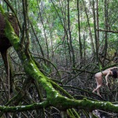 Jeune femme nue dans la foret tropicale amazonienne. Guyane. Nu artistique. Mangrove. Remire Montjoly sentier des salines.