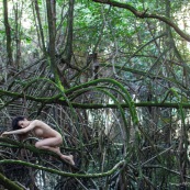 Jeune femme nue dans la foret tropicale amazonienne. Guyane. Nu artistique. Mangrove. Remire Montjoly sentier des salines.