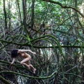 Jeune femme nue dans la foret tropicale amazonienne. Guyane. Nu artistique. Mangrove. Remire Montjoly sentier des salines.