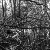 Jeune femme nue dans la foret tropicale amazonienne. Guyane. Nu artistique. Mangrove. Remire Montjoly sentier des salines.