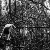 Jeune femme nue dans la foret tropicale amazonienne. Guyane. Nu artistique. Mangrove. Remire Montjoly sentier des salines.