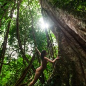 Jeune femme nue dans la foret tropicale amazonienne. Guyane. Nu artistique. Sentier de Lamirande. Matoury.