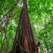 Jeune femme nue dans la foret tropicale amazonienne. Guyane. Nu artistique. Sentier de Lamirande. Matoury.