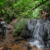 Jeune femme nue dans la foret tropicale amazonienne. Guyane. Nu artistique. Sentier Laimrande Matoury. Se decouvre elle meme, nue. Randonneur, randonneuse.