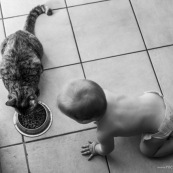 Bebe et chat. Portrait. En train de manger des croquettes. Qui est l'animal ?