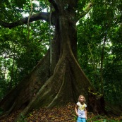 Petite fille et gros arbre - Guyane - Ilet la mère enfant. Foret tropicale amazonienne. Enfant.