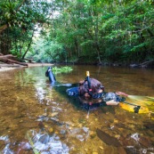 Plongeur dans une crique de Guyane. Riviere. Photographe sous-marin. Photo sous-marine. Reflex avec caisson. Riviere Tonnegrande. Observation sous l'eau. Femme en combinaison. Plongee.