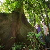 Couple en train d'observer aux jumelles au pied d'un arbre. En foret tropicale amazonienne. Arbre remarquable. Fromager. Ceiba. En Equateur.