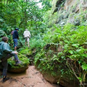 Expedition a pied en foret tropicale (jungle,) avec traversee d'une riviere. Trois personnes. Randonnee.