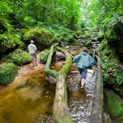 Expedition a pied en foret tropicale (jungle,) avec traversee d'une riviere. Trois personnes. Randonnee.