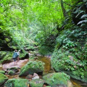 Expedition a pied en foret tropicale (jungle,) avec traversee d'une riviere. Deux personnes. Randonnee.