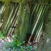 Guyane. Bagne (prison). Bagne des annamites. Le camp Crique Anguille, plus communément appelé bagne des Annamites, est un bagne français situé sur la commune de Montsinéry-Tonnegrande en Guyane. Vue sur les cellules. Tourisme historique et culturel. Graphisme.