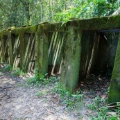 Guyane. Bagne (prison). Bagne des annamites. Le camp Crique Anguille, plus communément appelé bagne des Annamites, est un bagne français situé sur la commune de Montsinéry-Tonnegrande en Guyane. Vue sur les cellules. Tourisme historique et culturel. Graphisme.