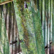Guyane. Bagne (prison). Bagne des annamites. Le camp Crique Anguille, plus communément appelé bagne des Annamites, est un bagne français situé sur la commune de Montsinéry-Tonnegrande en Guyane. Vue sur les cellules. Tourisme historique et culturel. Graphisme.