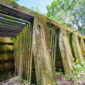 Guyane. Bagne (prison). Bagne des annamites. Le camp Crique Anguille, plus communément appelé bagne des Annamites, est un bagne français situé sur la commune de Montsinéry-Tonnegrande en Guyane. Vue sur les cellules. Tourisme historique et culturel. Graphisme.