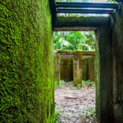 Guyane. Bagne (prison). Bagne des annamites. Le camp Crique Anguille, plus communément appelé bagne des Annamites, est un bagne français situé sur la commune de Montsinéry-Tonnegrande en Guyane. Vue sur les cellules. Tourisme historique et culturel. Graphisme.