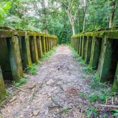 Guyane. Bagne (prison). Bagne des annamites. Le camp Crique Anguille, plus communément appelé bagne des Annamites, est un bagne français situé sur la commune de Montsinéry-Tonnegrande en Guyane. Vue sur les cellules. Tourisme historique et culturel. Graphisme.