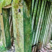 Guyane. Bagne (prison). Bagne des annamites. Le camp Crique Anguille, plus communément appelé bagne des Annamites, est un bagne français situé sur la commune de Montsinéry-Tonnegrande en Guyane. Vue sur les cellules. Tourisme historique et culturel. Graphisme.