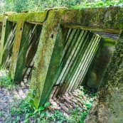 Guyane. Bagne (prison). Bagne des annamites. Le camp Crique Anguille, plus communément appelé bagne des Annamites, est un bagne français situé sur la commune de Montsinéry-Tonnegrande en Guyane. Vue sur les cellules. Tourisme historique et culturel. Graphisme.