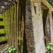 Guyane. Bagne (prison). Bagne des annamites. Le camp Crique Anguille, plus communément appelé bagne des Annamites, est un bagne français situé sur la commune de Montsinéry-Tonnegrande en Guyane. Vue sur les cellules. Tourisme historique et culturel. Graphisme.