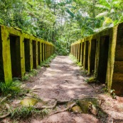 Guyane. Bagne (prison). Bagne des annamites. Le camp Crique Anguille, plus communément appelé bagne des Annamites, est un bagne français situé sur la commune de Montsinéry-Tonnegrande en Guyane. Vue sur les cellules. Tourisme historique et culturel. Graphisme.