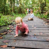 Sentier du bagne des Annamites. Montsinery Tonnegrande. Guyane en foret tropicale amazonienne. randonnee en famille. Avec enfants et bebes.