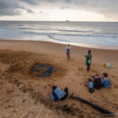 Tortue luth, Dermochelys coriacea. Guyane au lever du soleil, plage des salines à Rémire Montjoly. Mer en fond.  En train de pondre. Ponte. Trou dans le sable. SPectateurs.