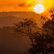 Saul au petit matin (lever du soleil) depuis le belvedere. Brume.  En foret tropicale amazonienne.  Parc amazonien de Guyane. Vue sur la canpee.