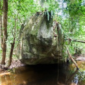 Randonnee a Saul en foret tropicale amazonienne. Riviere. Crique. Sentier Roche bateau.  Parc amazonien de Guyane.