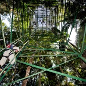 Tour pour monter dans la canopée en foret tropicale (foret amazonienne, Yasuni, Equteur).