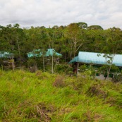 Station de recherche scientifique Yasuni / Yasuni research station