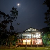 Estacion Cientifica Yasuni : Noche