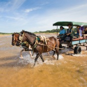 Carrosse traversant riviere