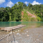 Radeau en foret tropicale. En bois.