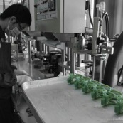 Process de moulage en cire perdue. Moulage acier. Piece de roller systeme de freinage diabolo. Usine a Taiwan (Asie Chine). L'operateur moule les pieces en cire.