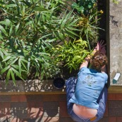 Anne-Laure et son jardin