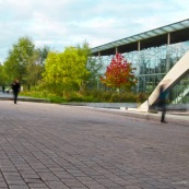 Espace vert non entretenu. Exterieur de la Gare Lille Europe. Coin de verdure non entretenu, a cote d'espaces tres entretenus. Baies vitree. Milieu urbain. Vegetation. train. Transports en commun. Parc Matisse - Euralille